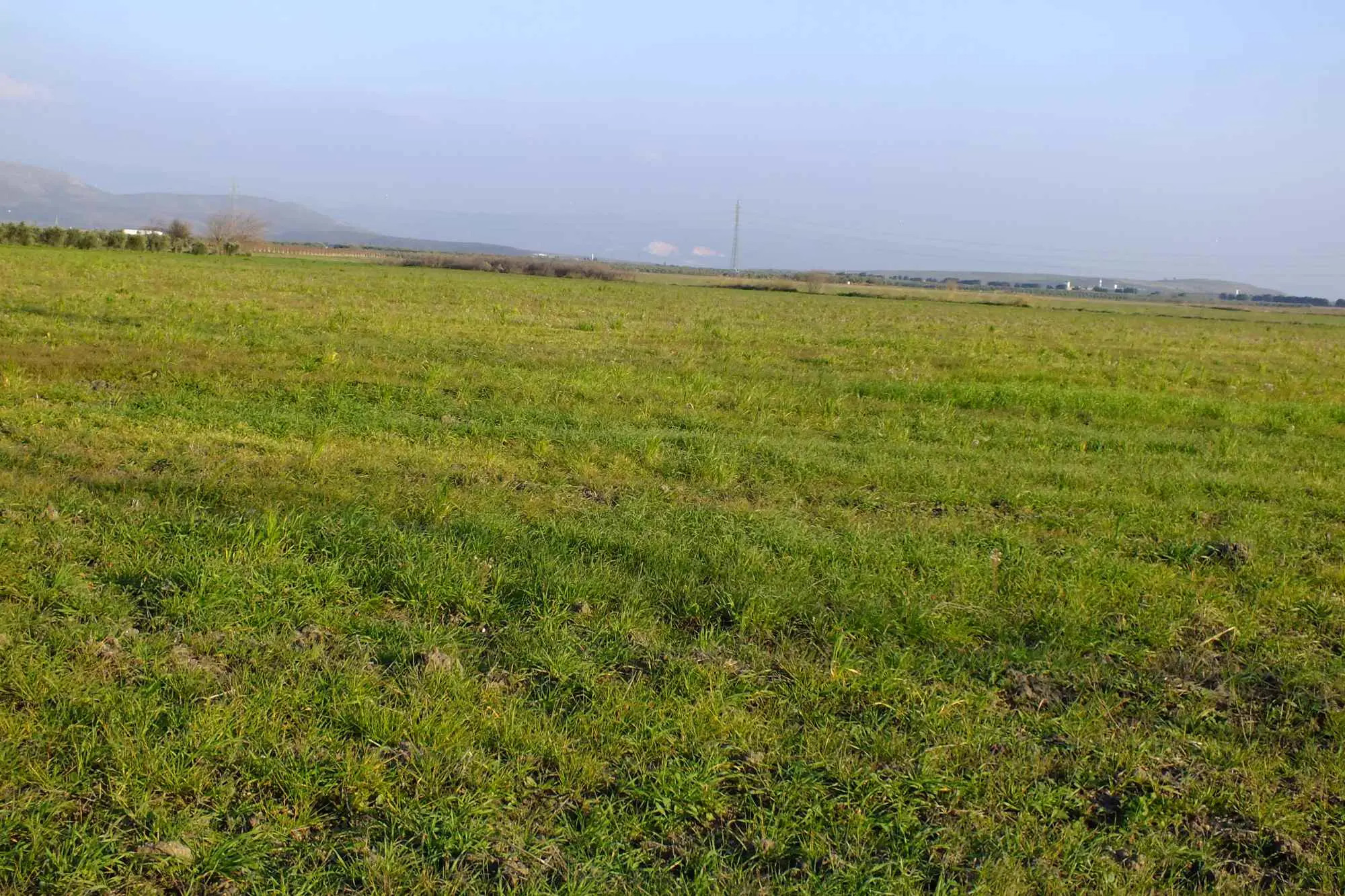 SARUHANLI KAYIŞLAR’DA 38.500 M² TICARI ARSA  10 KÜMES PROJELI  17.000 M² KAPALI ALAN 