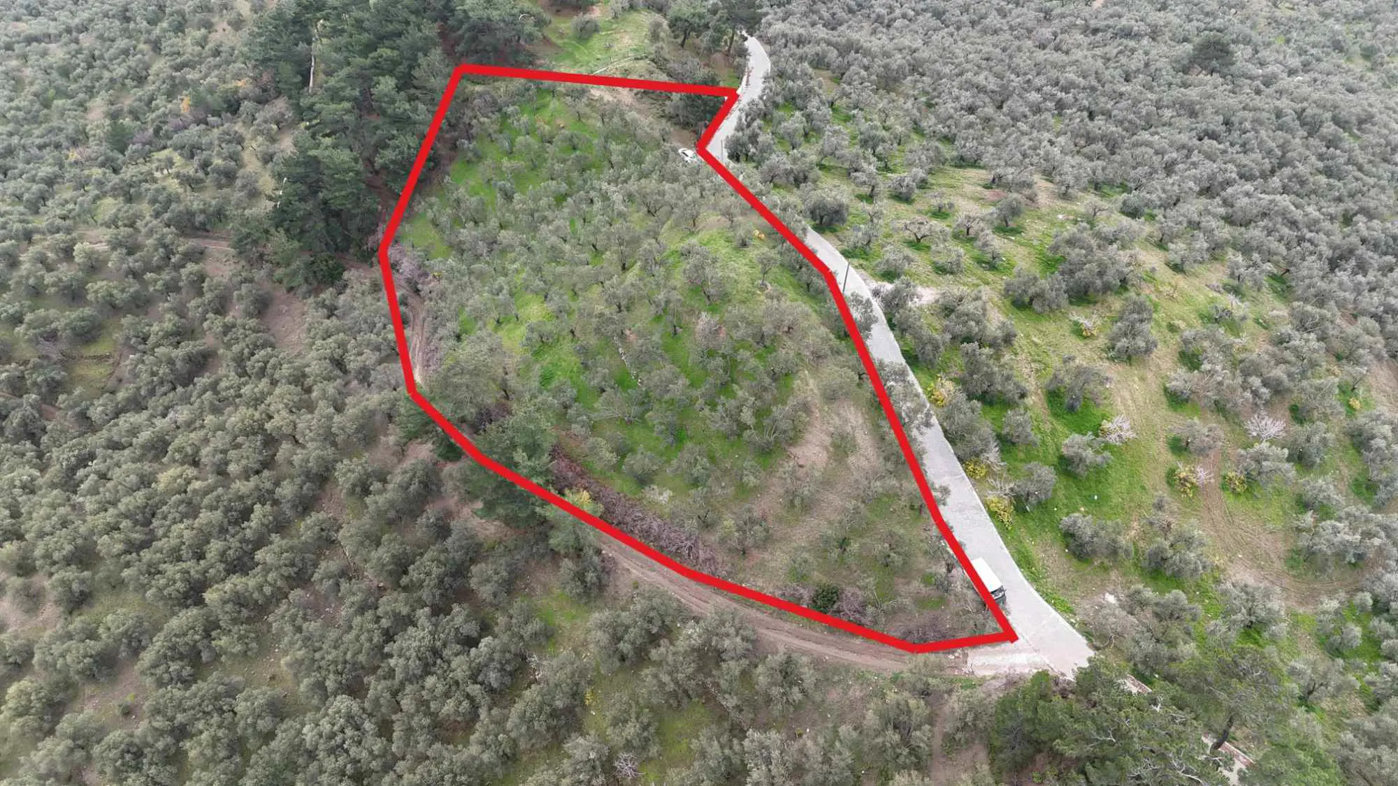 KAZDAĞLARI ETEĞINDE, PANORAMIK DENIZ MANZARALI 5100 M² ZEYTINLIK
